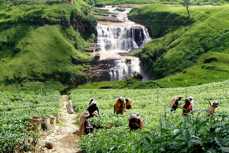 Sri Lanka, Nuwara Eliya